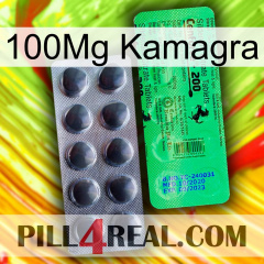 100Mg Kamagra new04
